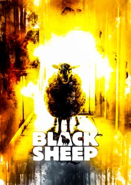 Black Sheep