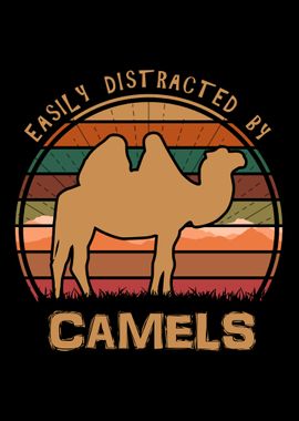 Distracted By Camels