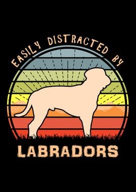 Distracted By Labradors