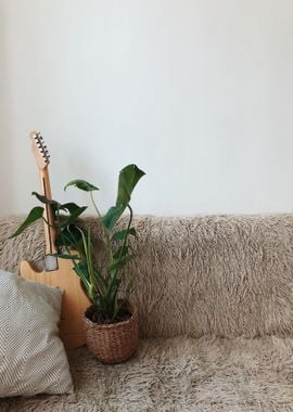 plant guitar