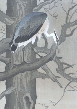 Heron Sitting on Tree Art