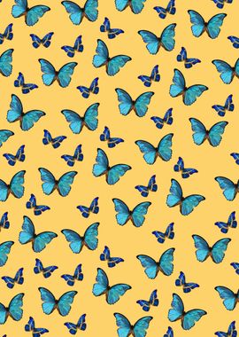 Blue Yellow Butterfly 1