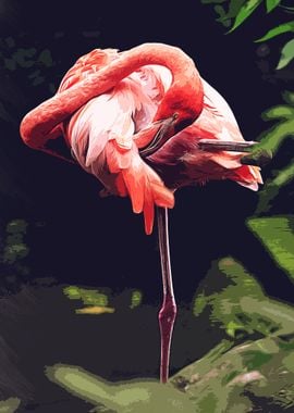 Flamingo