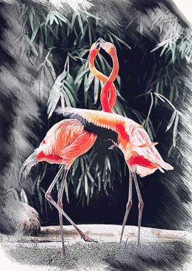 flamingo