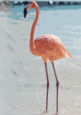 flamingo