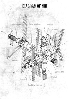 diagram of mir