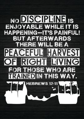 Discipline