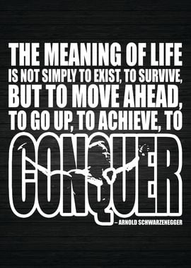 CONQUER Meaning Of Life