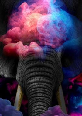 Elephant in the Mist