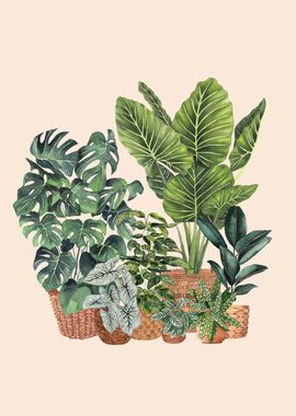 House plants art