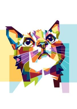 Colorful Cat Face Animal