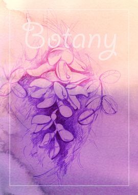 Botany