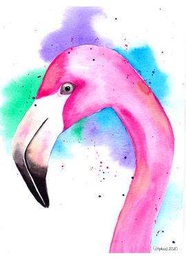 Colourful pink Flamingo 