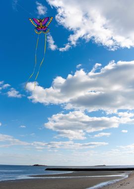 Flying Kite Beach Connecti