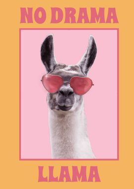 NO DRAMA LLAMA ALPACA