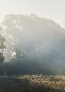 Morning Fog Above The Fiel