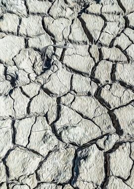 Parched land of a marsh