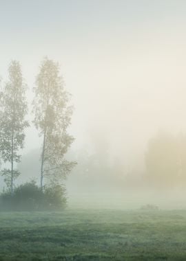 Strong Morning Fog Above T