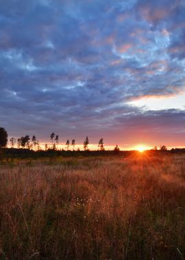 Sunset In Rural Area