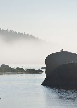 Rocks At The Coast Of Kasm