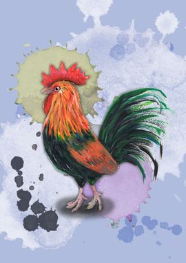 Rooster