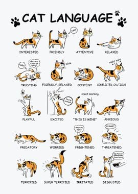 Cat Language