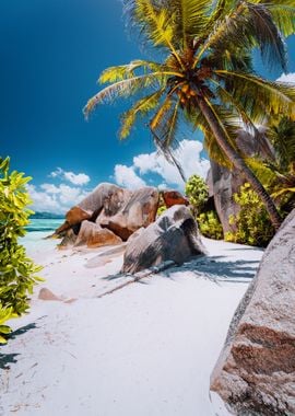 Footpath To Tropical Beach