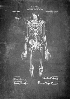 Human Sceleton Patent Art