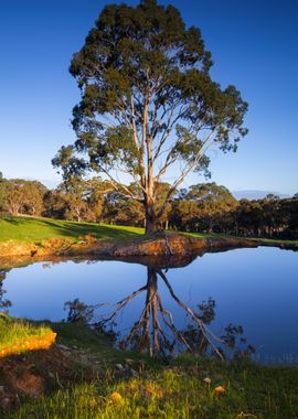 Adelaide Aussie Australia