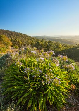 Adelaide Adelaide Hills Au