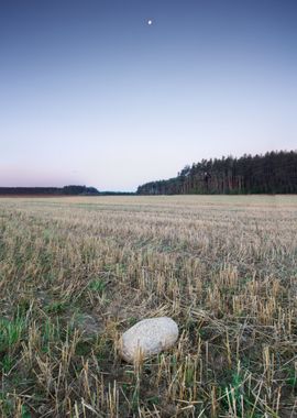 Poland Plain Purple Rural 