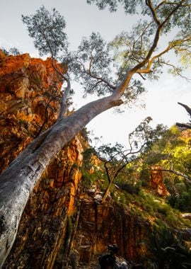 Alice Springs Australia Ho