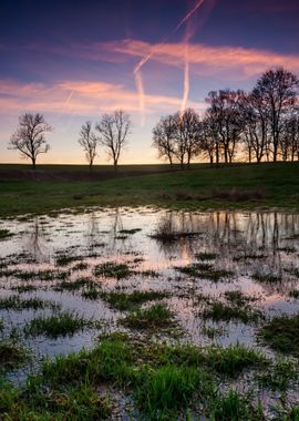 Marsh Mud Puddle Swamp Dir