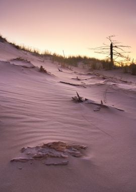 Sea Dry Hot Park Sand Dune