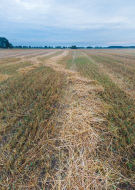 Agriculture Nature Harvest