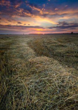 Agriculture Nature Harvest