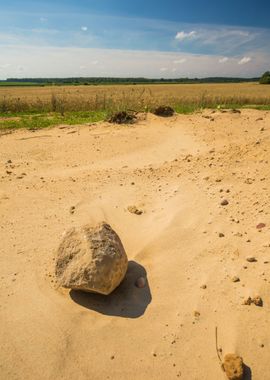 Dry Grass Landscape Nature