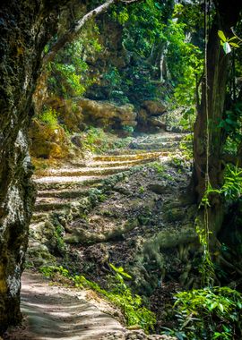 Stone Staircase Leading On