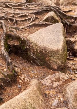 Bluff Brocken Crag Escarp