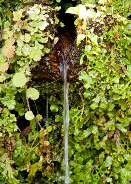 Canal Canals Green Hike Hi