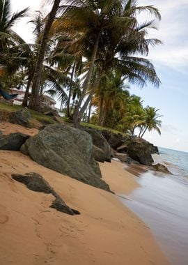 Puerto Rico Beach Tropical