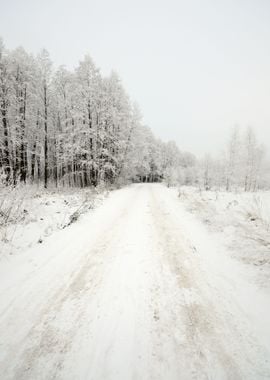 Winter Scene Road And Fore