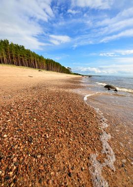 Baltic Sea Shore In Latvia