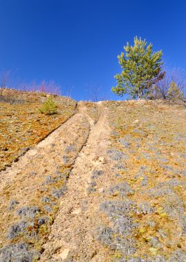 Desert Landscape