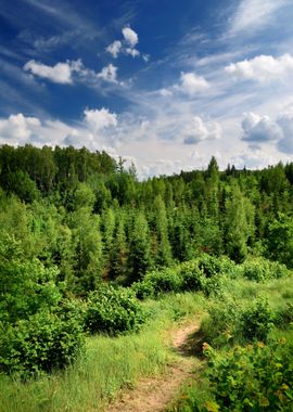 Hills Covered With Forest