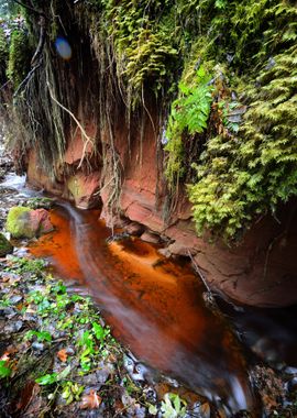 Small River Scene Among Ro