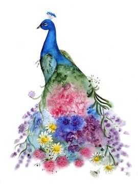 Watercolor Peacock