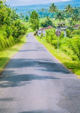 Rural Road In Sediment Dis