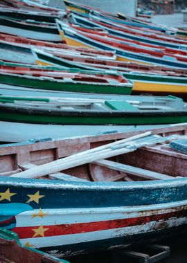 Multicolored Local Fishing