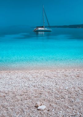 Pebble Beach And White Cat